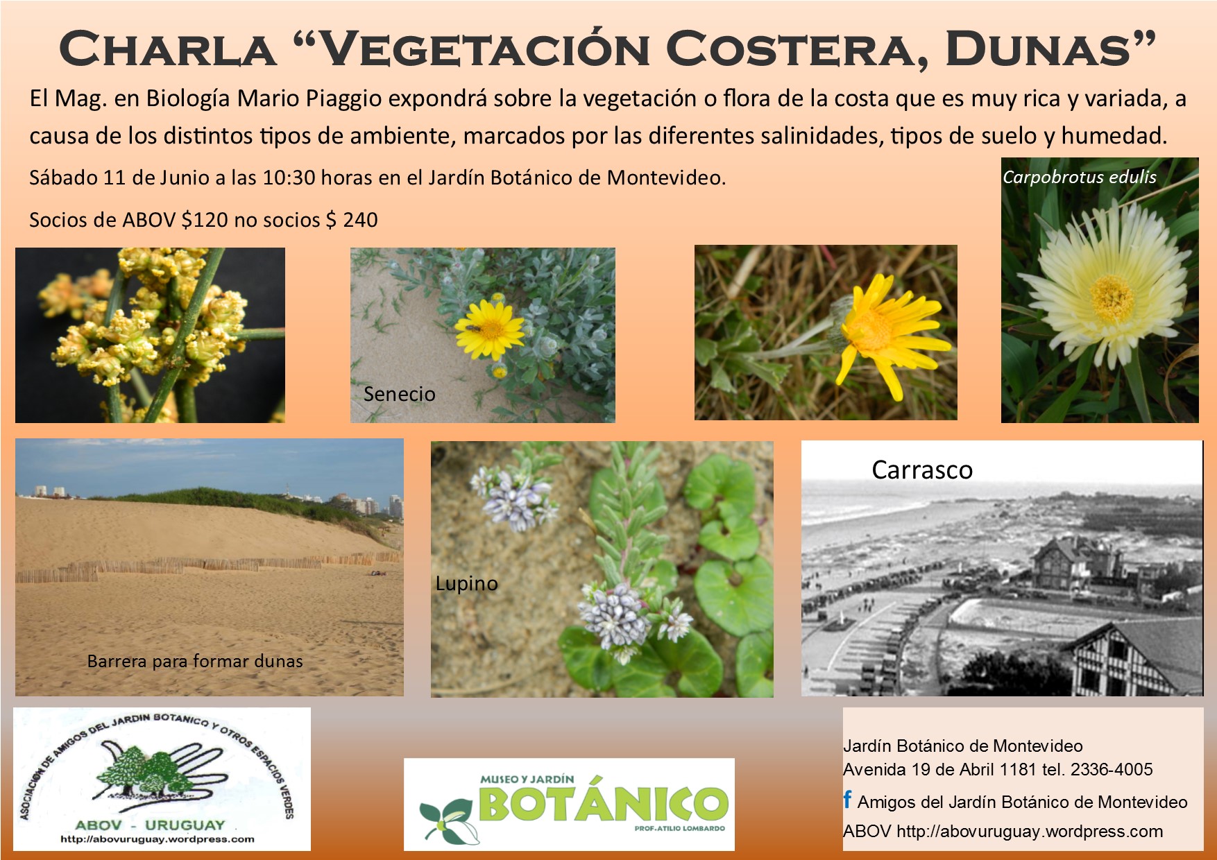 Charla Vegetación Costera Dunas Museo Jardín Botánico Prof Atilio Lombardo 3042