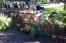 feria de plantas