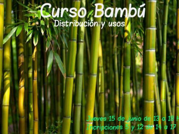 Curso Bambú
