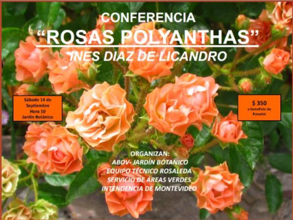 Conferencia "Rosas Polyanthas"