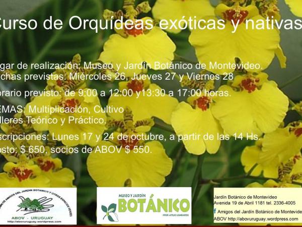 Afiche curso orquídeas ABOV