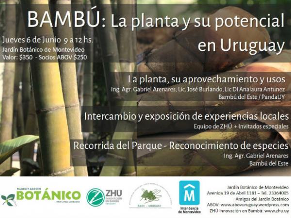 Afiche Curso Bambú en Uruguay Junio 2019
