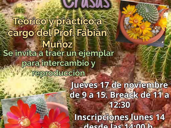 Afiche Curso Cactus y Crasas