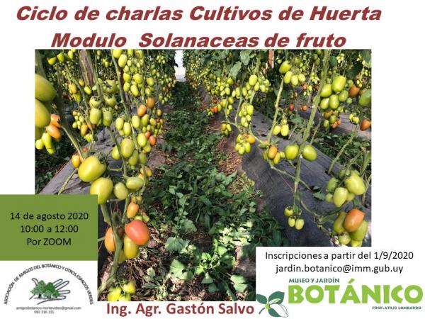 Afiche Curso Virtual Huerta Módulo III "Solanaceas de fruto"