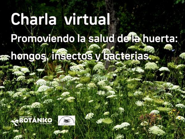 Curso VIRTUAL Cultivos de Huerta - Módulo VI - Promoviendo la salud de la Huerta