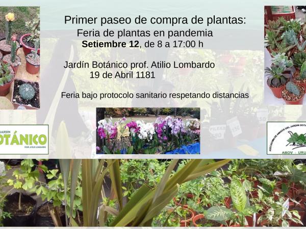 Feria de Plantas Setiembre 2020