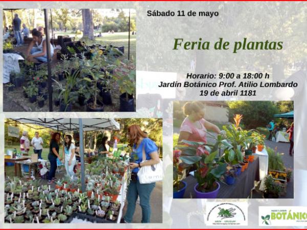Feria de Plantas Mayo 2019