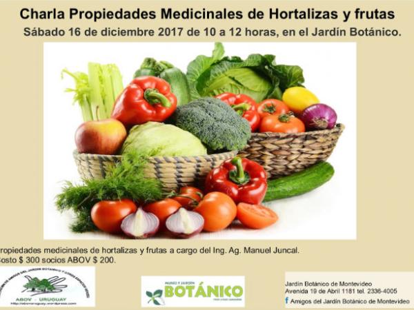 Charla propiedades medicinales de hortalizas y frutas