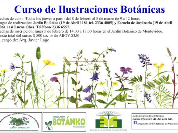 Curso de Ilustraciones Botánicas 2018