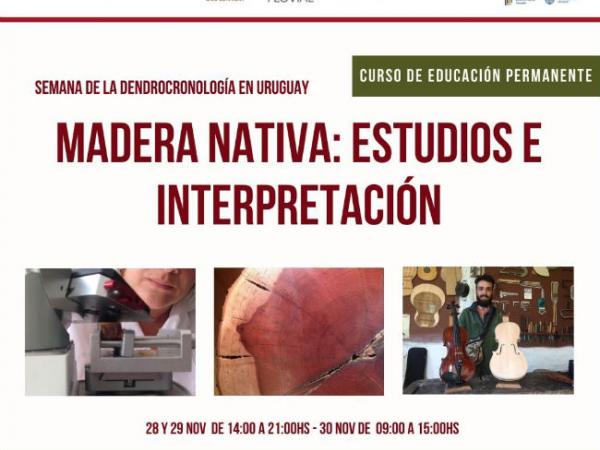 Madera Nativa: Estudios e Interpretación Charla y Curso