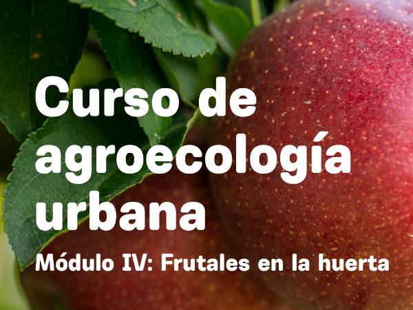 Curso Agroecología Urbana Módulo IV