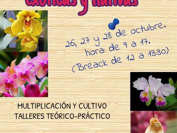 Afiche Curso orquídeas exóticas y nativas 2016