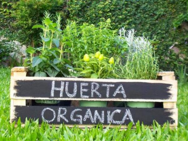 Huerta orgánica nivel III