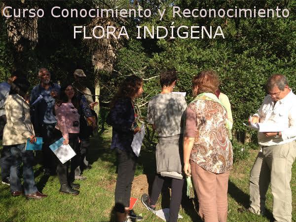Curso de Conocimiento y Reconocimiento de Flora Indígena