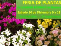 Feria de plantas diciembre 2022