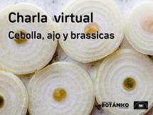 Curso Virtual sobre Cebolla, Ajo y Brassicas.