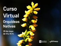 Curso VIRTUAL Orquídeas Nativas Mayo 2021