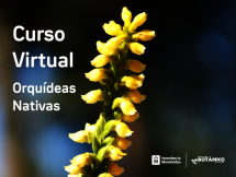 Curso VIRTUAL Orquídeas Nativas Junio 2021